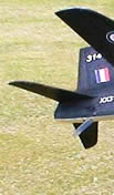 Howard's Hawk