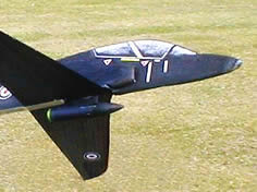 Howard's Hawk
