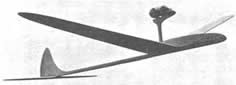 Dowsett's Fizzle-bug